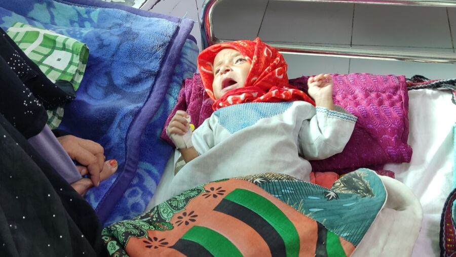 Helmand-Bimaree-hai-fasli-1