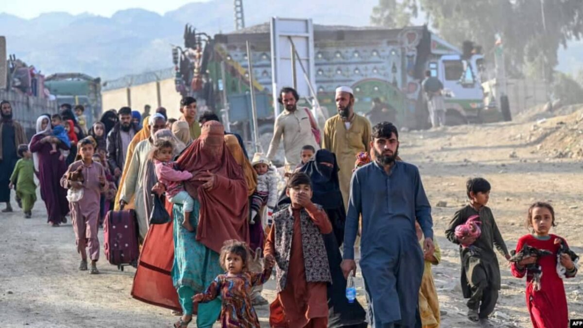 Refugee