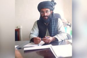 کشته‌شدن کارمند طالبان در حمله مسلحانه در پکتیا