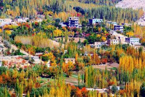 طالبان شماری از باشندگان و موسفیدان جاغوری را بازداشت کردند