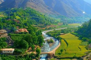 قطعه سبز: ۲۰ باشنده پنجشیر پس از حمله در ولسوالی دره بازداشت شدند