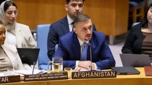 فایق خواستار تحقیقات مستقل درباره نقض حقوق بشر در افغانستان شد